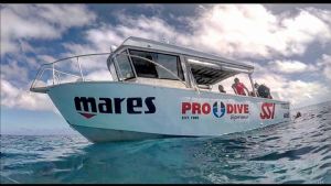 Great Barrier Reef Trip